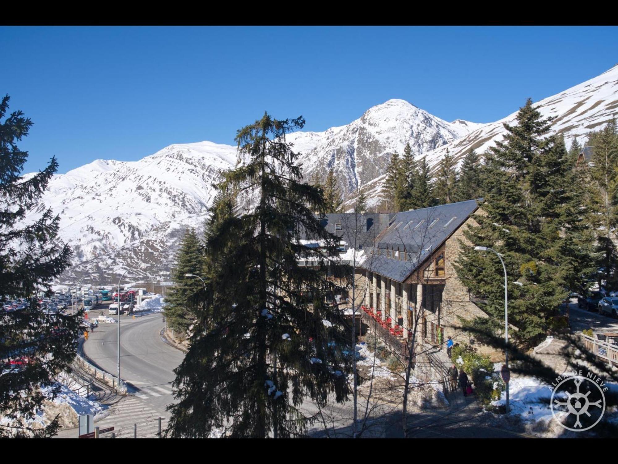 Liebre De Alma De Nieve *